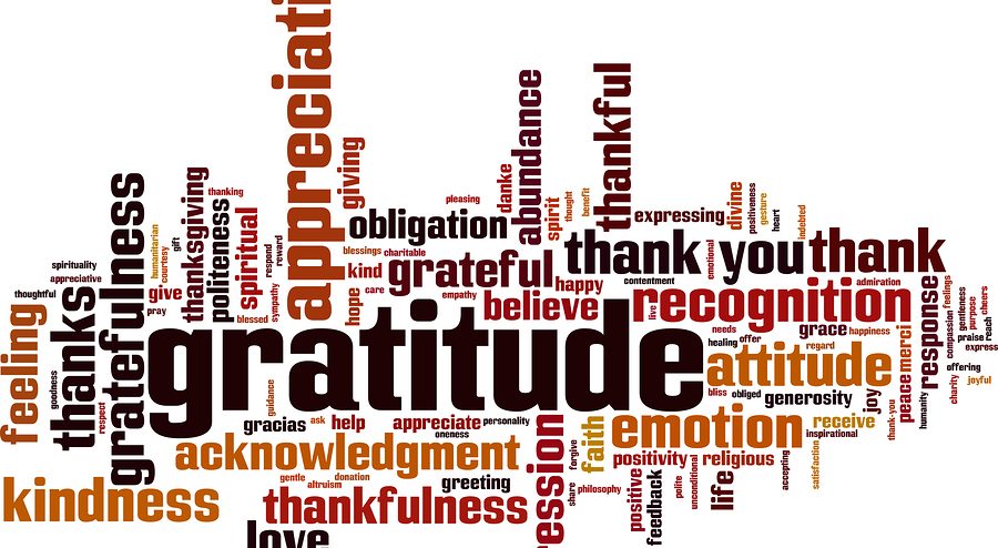 living-in-gratitude-horizon-point-consulting