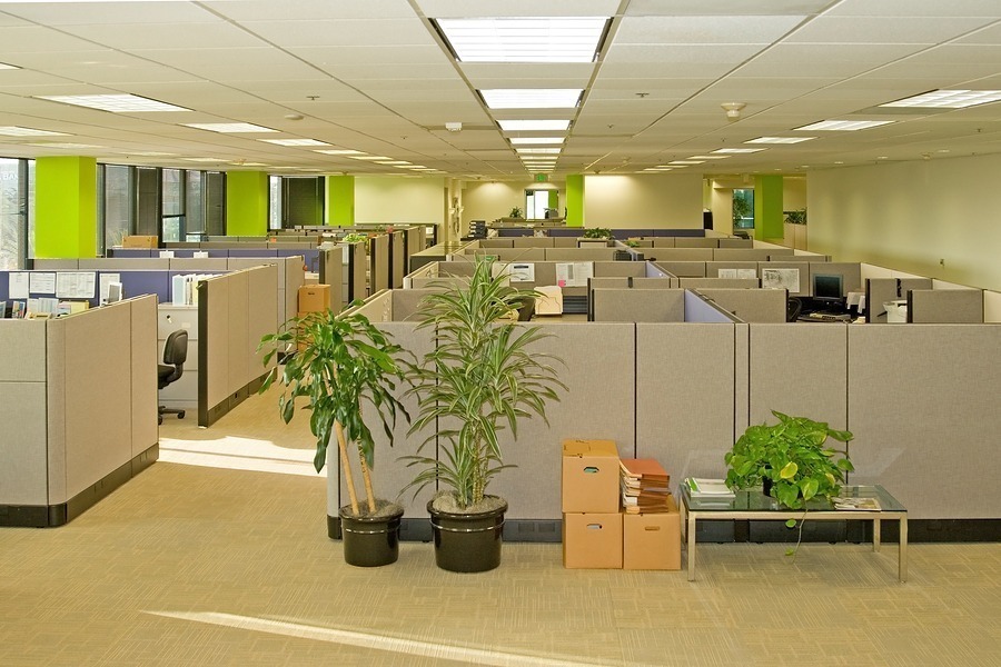 The Office Design that Promotes Productivity, Collaboration, and Cost Savings