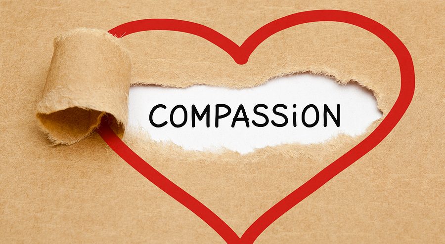 dissertations on compassion
