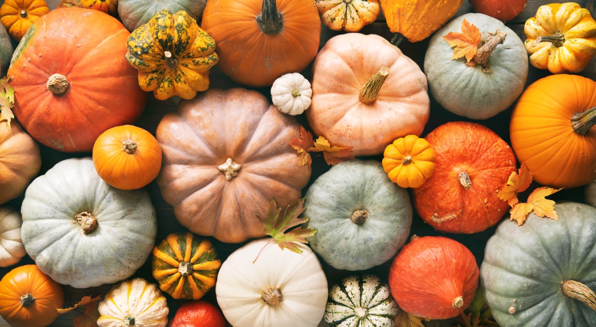 Open the Door to Gratitude