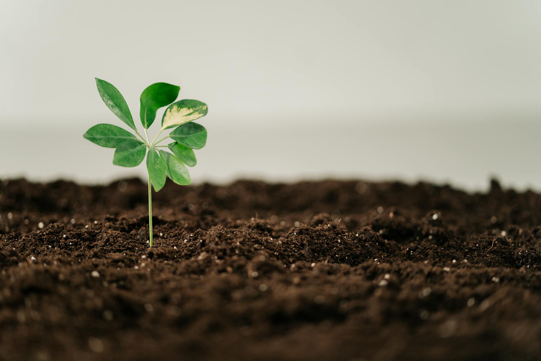 Beyond the Office: 7 Powerful Ways to Cultivate Your Identity Outside Your Career