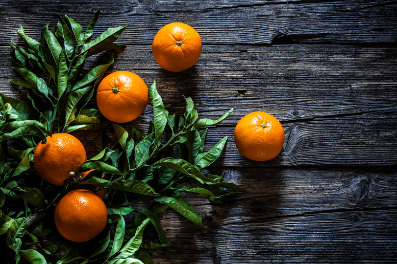 Nourish: A Bold New Direction for 2025